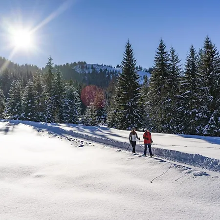 Vicky Central, Mountain Apartmán Wildschoenau